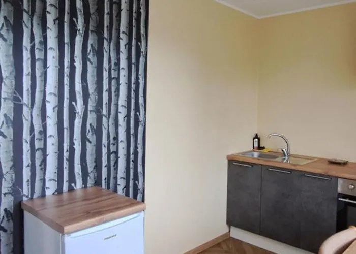 公寓 Near And Sauna Center *