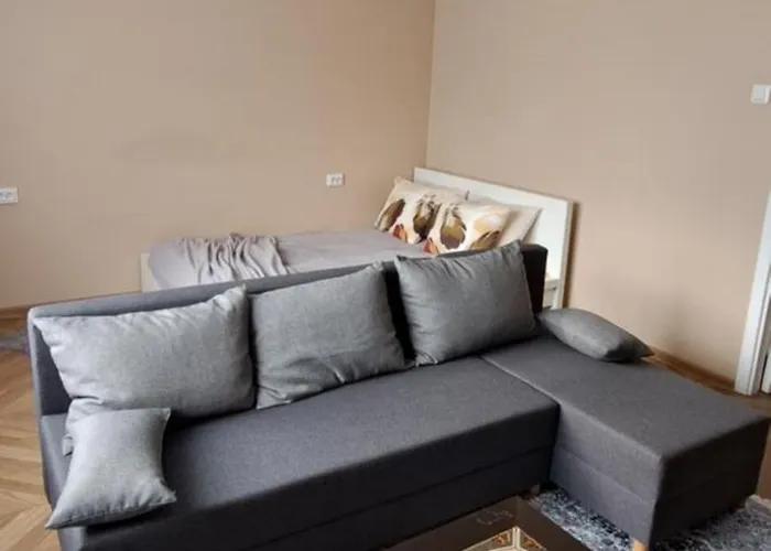 Near And Sauna Center 公寓 Abja-Paluoja